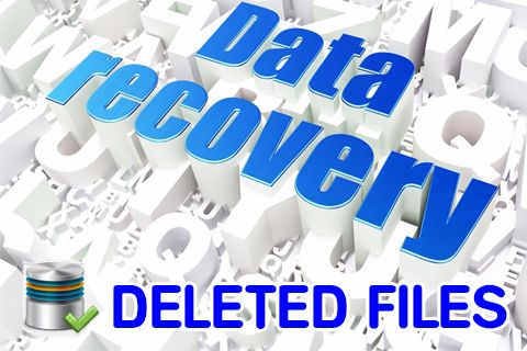 How To Recover DeletedFormatted Files From Pendrive Or Memory Card