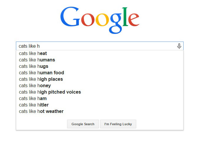 30 Most Hilarious Google Search Suggestions Ever 30
